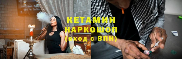 сатива Бородино