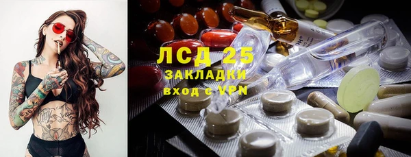 сатива Бородино