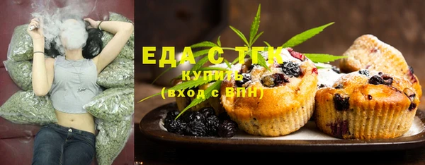 сатива Бородино